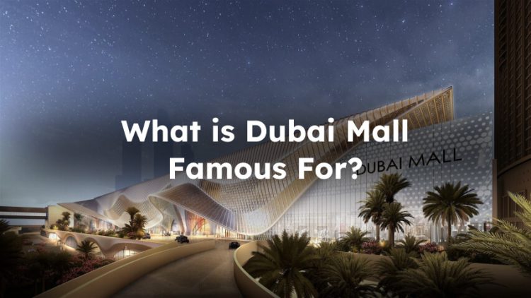 Things That Make Dubai Mall Famous