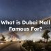 Things That Make Dubai Mall Famous