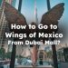 Go to Wings of Mexico From Dubai Mall