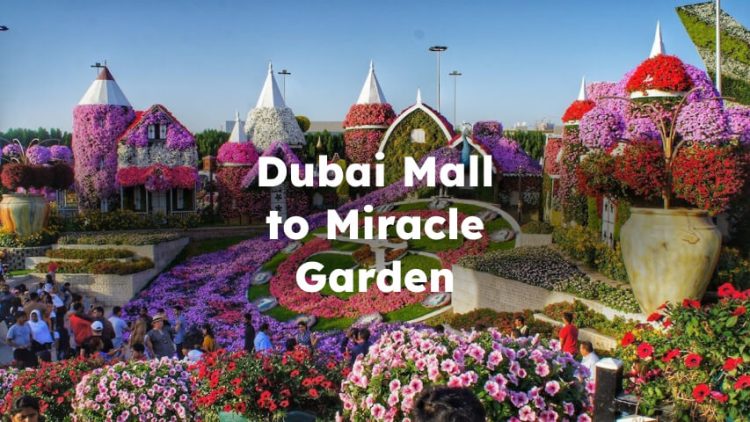 Dubai Mall to Miracle Garden