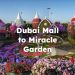 Dubai Mall to Miracle Garden