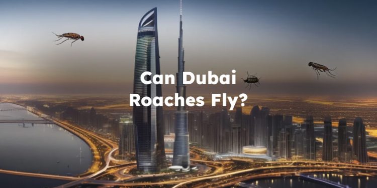 Do Dubai Roaches Fly? Can Dubia Roaches Fly?