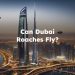 Do Dubai Roaches Fly?