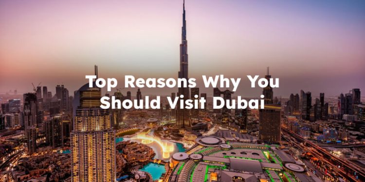 Top Reasons Why You Should Visit Dubai