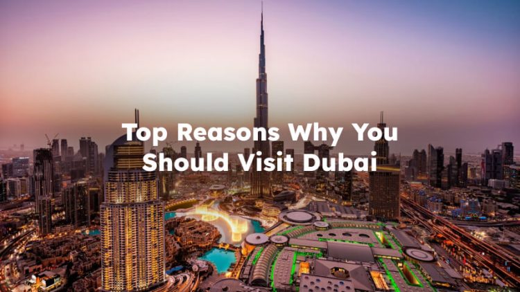 Top Reasons Why You Should Visit Dubai