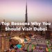 Top Reasons Why You Should Visit Dubai