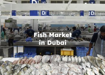 Fish Market in Dubai , Dubai Fish Market