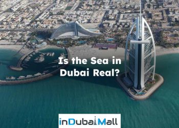 Is the Sea in Dubai Real?