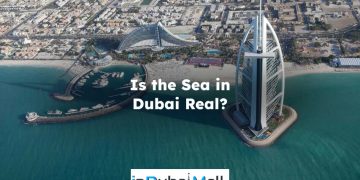 Is the Sea in Dubai Real?
