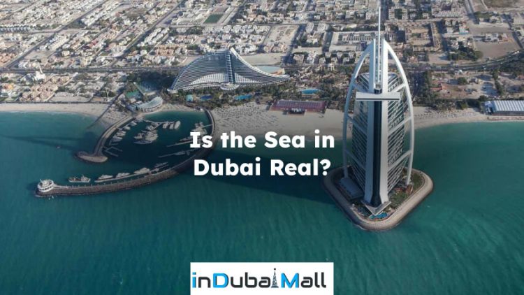 Is the Sea in Dubai Real?