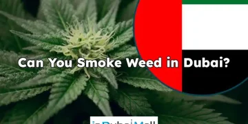 Can You Smoke Weed in Dubai?